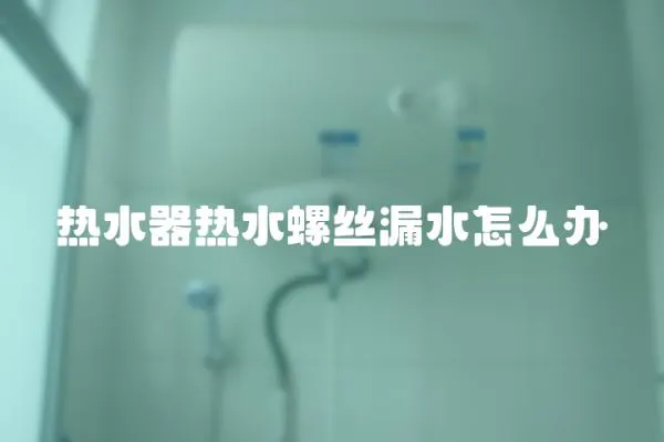 熱水器熱水螺絲漏水怎么辦