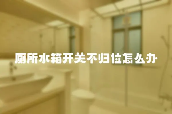 廁所水箱開關(guān)不歸位怎么辦