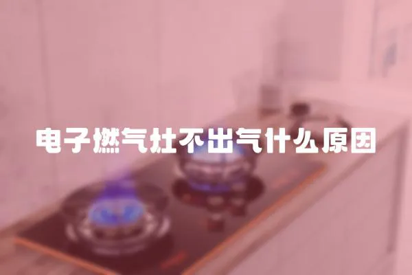 電子燃?xì)庠畈怀鰵馐裁丛?></a></div>
                    </div>
                    <div   id=