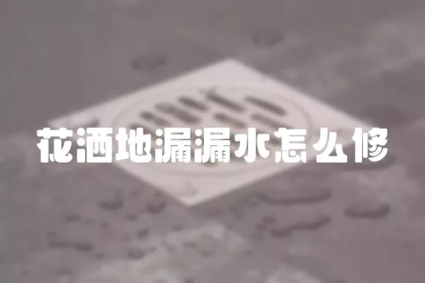 花灑地漏漏水怎么修