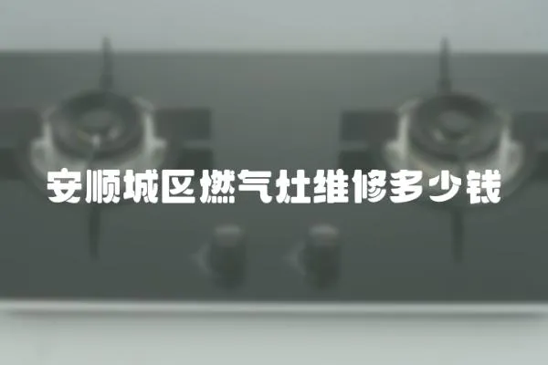 安順城區(qū)燃?xì)庠罹S修多少錢(qián)