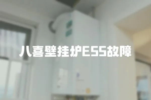 八喜壁掛爐E55故障