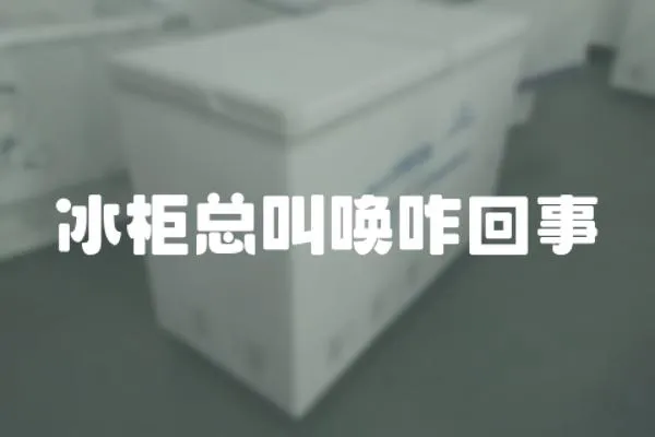冰柜總叫喚咋回事