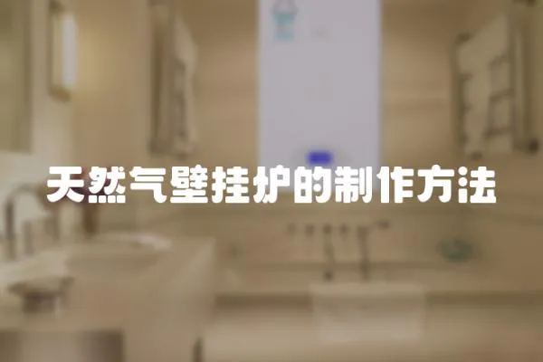 天然氣壁掛爐的制作方法
