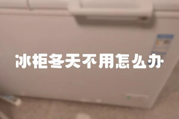 冰柜冬天不用怎么辦