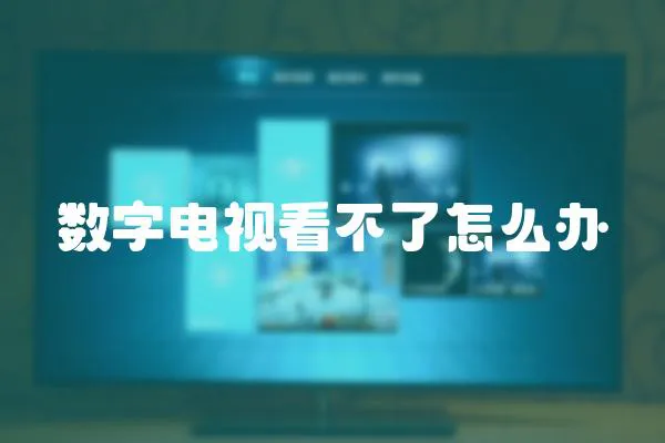 數(shù)字電視看不了怎么辦