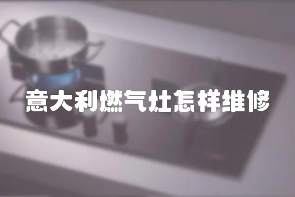 意大利燃?xì)庠钤鯓泳S修