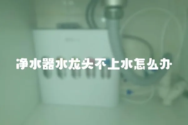 凈水器水龍頭不上水怎么辦