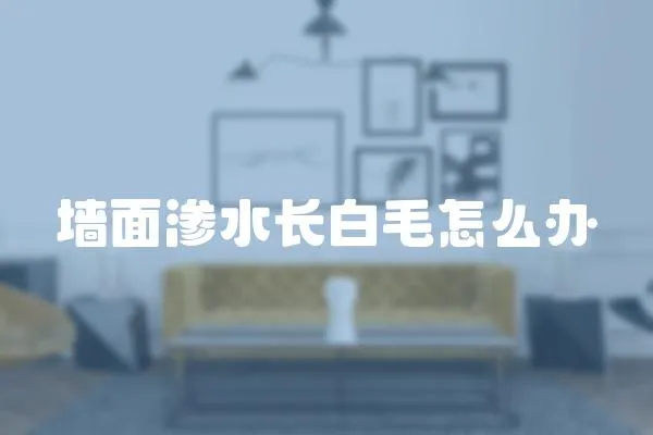 墻面滲水長白毛怎么辦