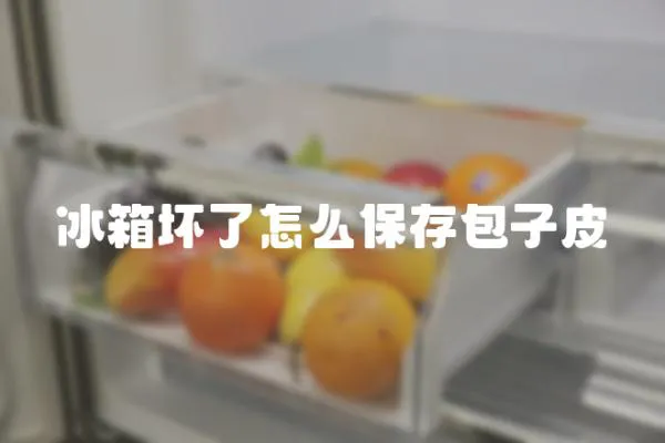 冰箱壞了怎么保存包子皮