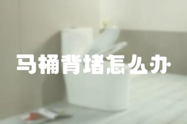 馬桶背堵怎么辦