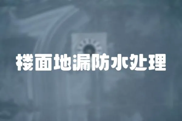 樓面地漏防水處理