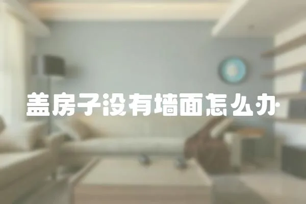 蓋房子沒有墻面怎么辦