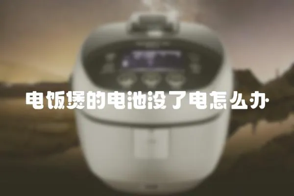 電飯煲的電池沒了電怎么辦