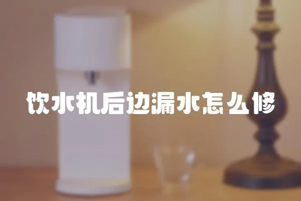 飲水機后邊漏水怎么修