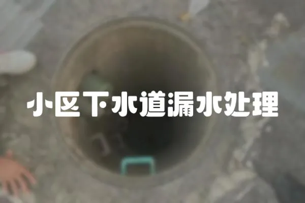 小區下水道漏水處理