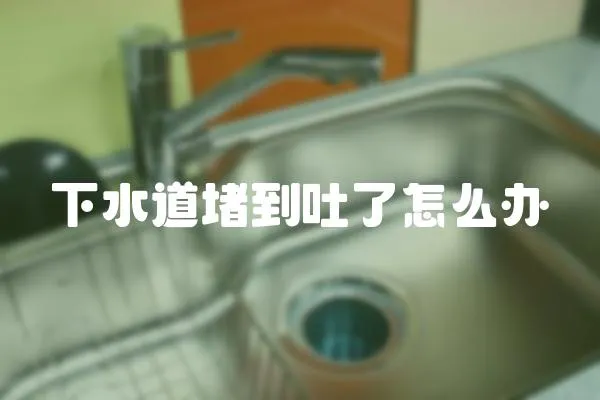 下水道堵到吐了怎么辦