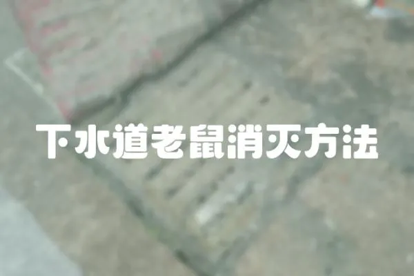 下水道老鼠消滅方法