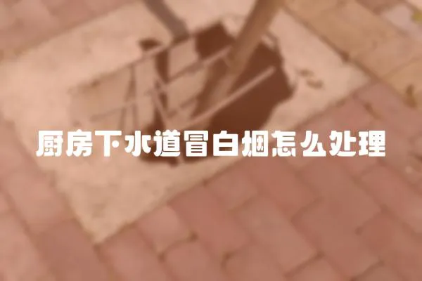 廚房下水道冒白煙怎么處理