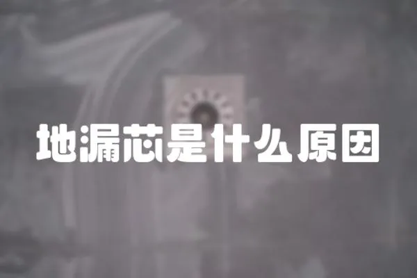 地漏芯是什么原因