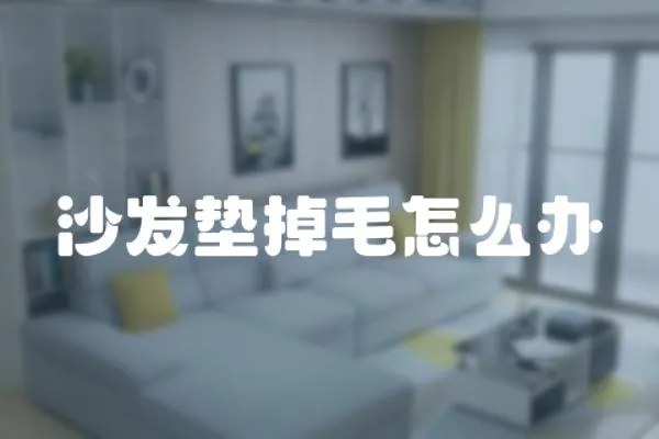 沙發(fā)墊掉毛怎么辦