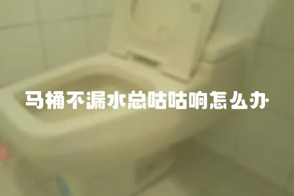 马桶不漏水总咕咕响怎么办