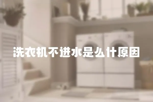 洗衣機(jī)不進(jìn)水是么什原因