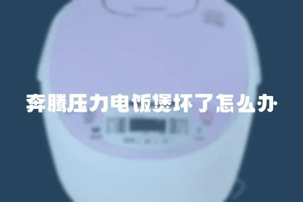 奔騰壓力電飯煲壞了怎么辦