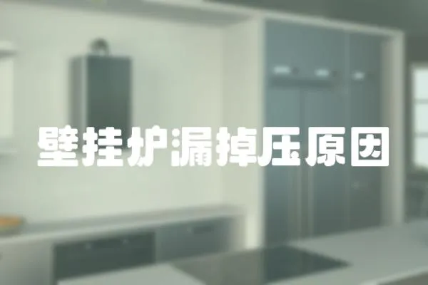 壁掛爐漏掉壓原因