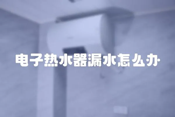 電子熱水器漏水怎么辦