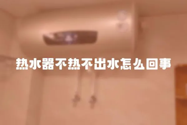 熱水器不熱不出水怎么回事