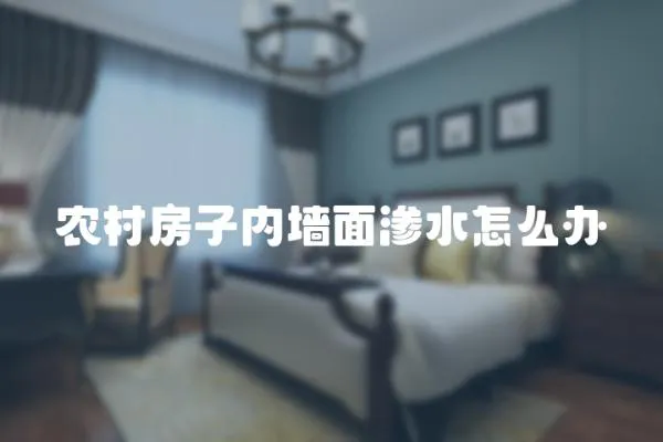 農村房子內墻面滲水怎么辦