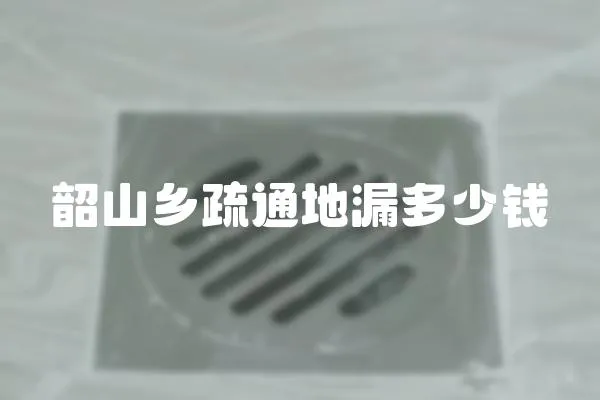 韶山鄉疏通地漏多少錢
