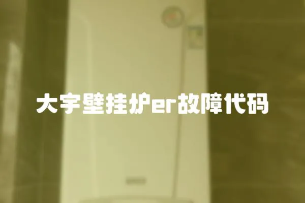 大宇壁掛爐er故障代碼