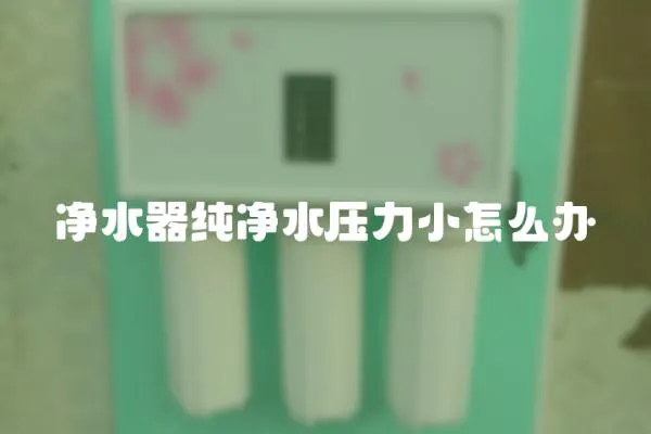 凈水器純凈水壓力小怎么辦