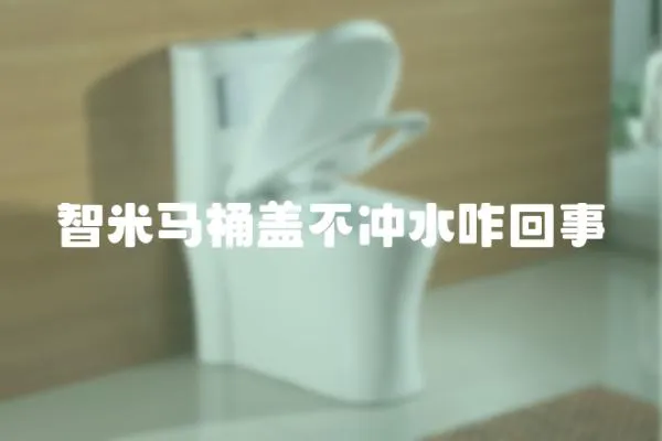 智米馬桶蓋不沖水咋回事