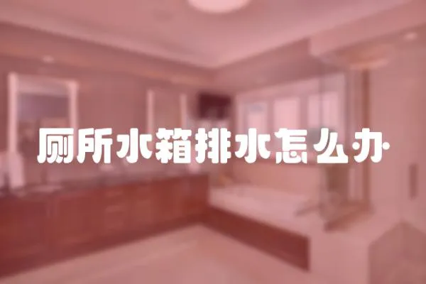 廁所水箱排水怎么辦