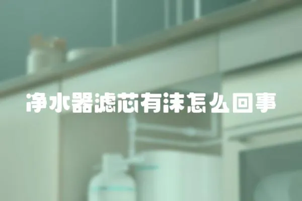 凈水器濾芯有沫怎么回事