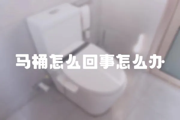 馬桶怎么回事怎么辦