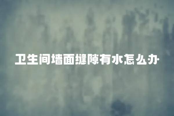 衛生間墻面縫隙有水怎么辦