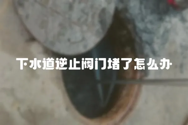 下水道逆止閥門堵了怎么辦