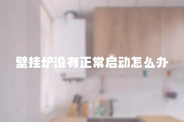 壁掛爐沒有正常啟動怎么辦