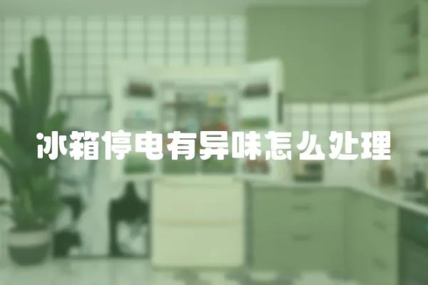 冰箱停電有異味怎么處理