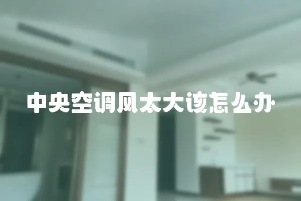 中央空調風太大該怎么辦