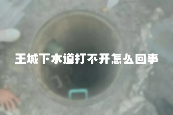 王城下水道打不開怎么回事