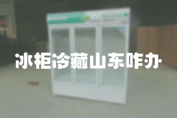 冰柜冷藏山東咋辦