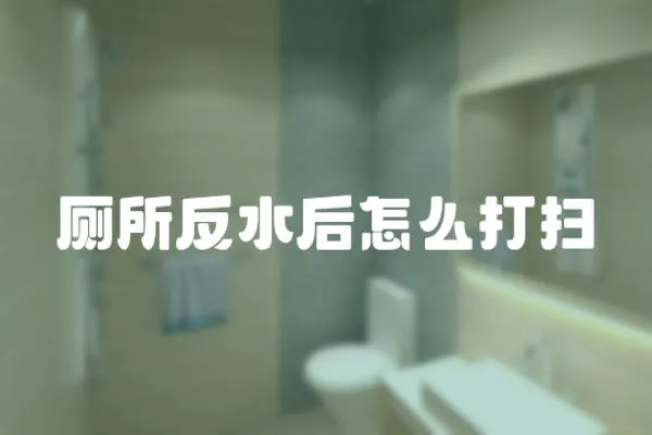 廁所反水后怎么打掃