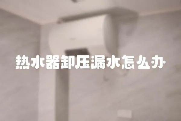 熱水器卸壓漏水怎么辦