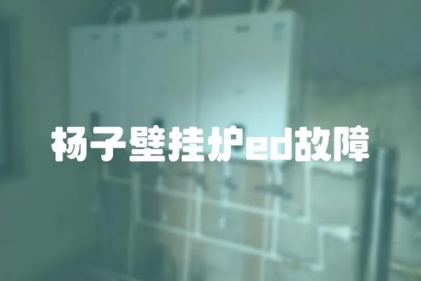 楊子壁掛爐ed故障