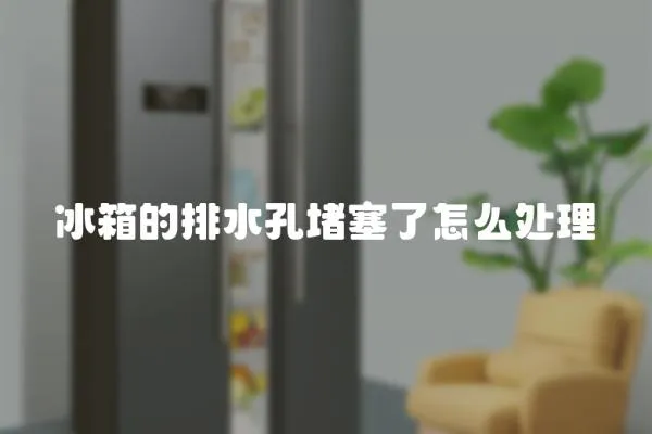 冰箱的排水孔堵塞了怎么處理